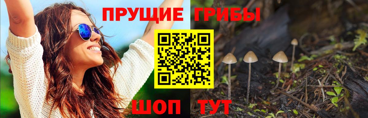 Галлюциногенные грибы мухоморы Псков