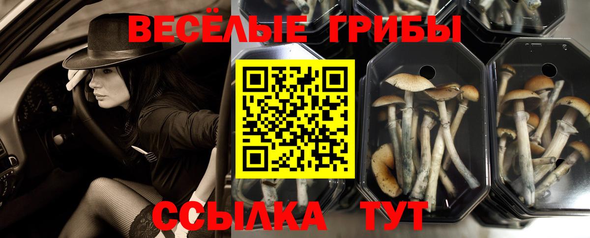 Псков  Галлюциногенные грибы мухоморы  Вход с VPN 